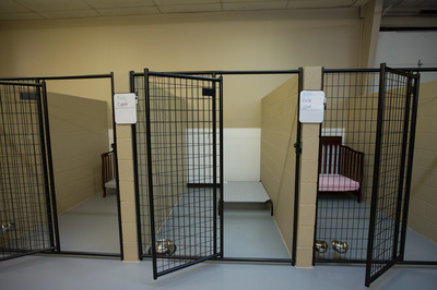 Our Facilities - Ruffin' It Doggie Daycare